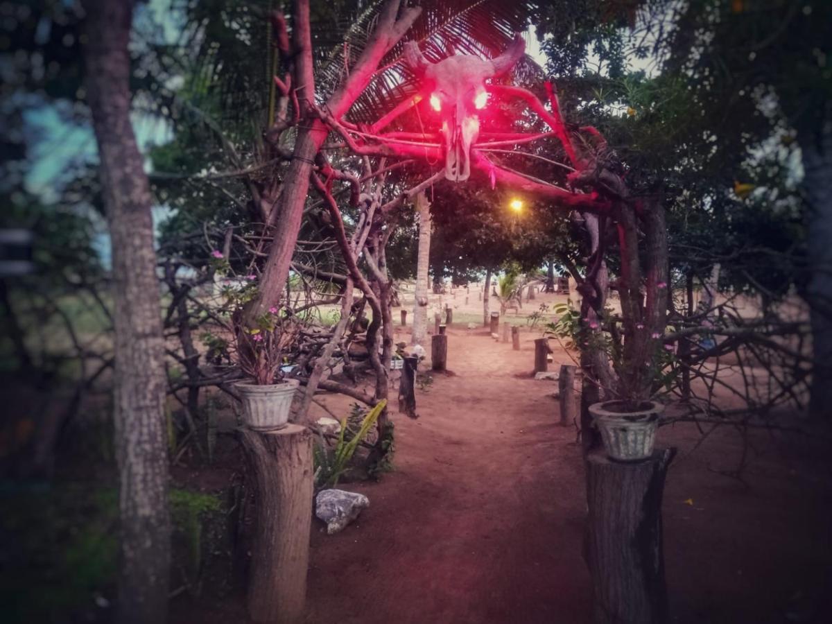 Beach Bungalow Yala คิรินดา ภายนอก รูปภาพ