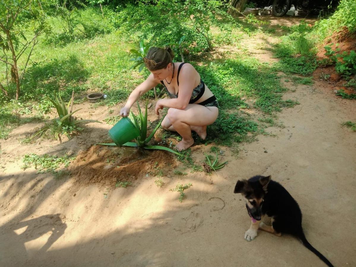 Beach Bungalow Yala คิรินดา ภายนอก รูปภาพ