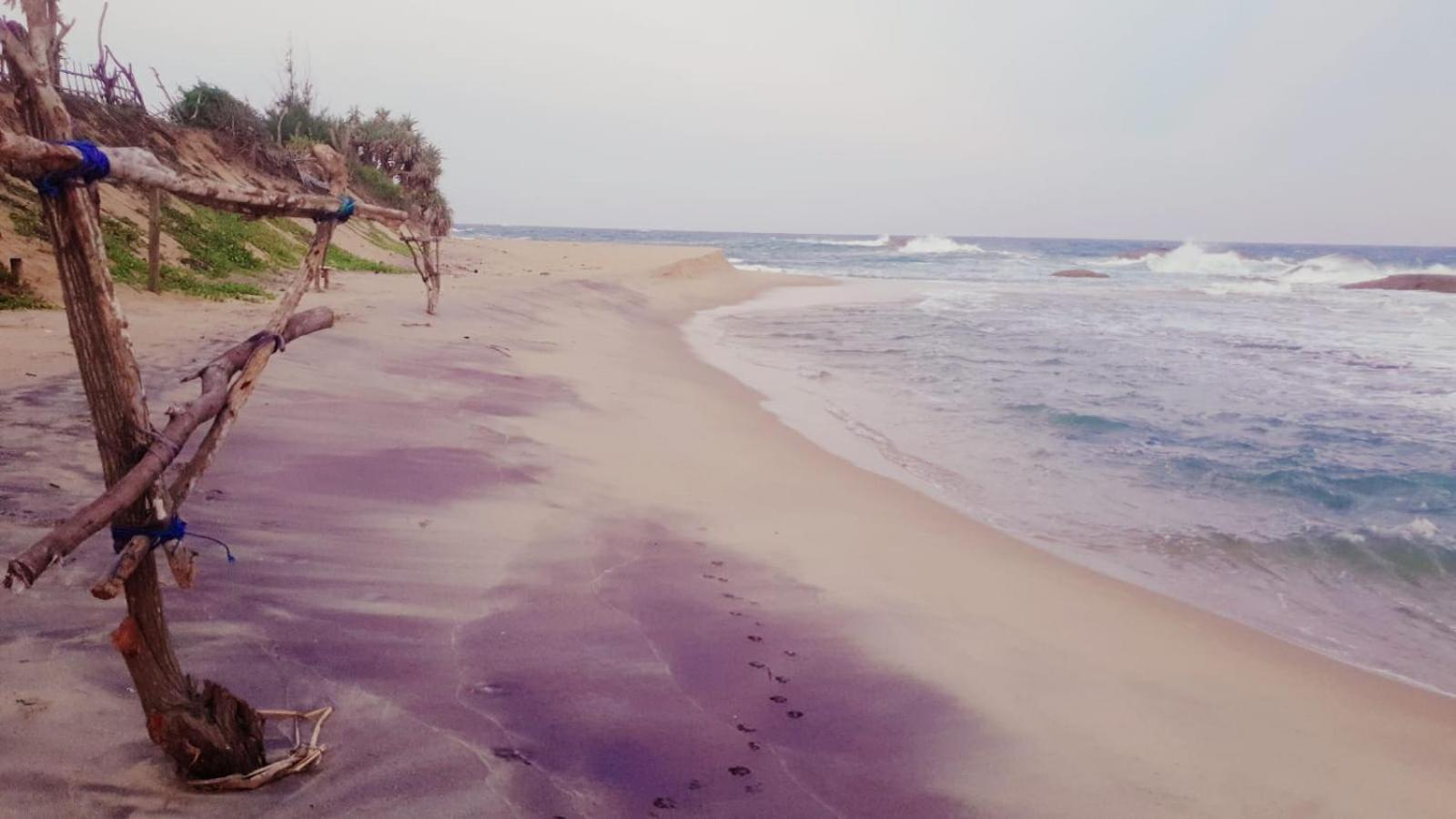 Beach Bungalow Yala คิรินดา ภายนอก รูปภาพ